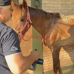 KEEP GOING MAX™ Soplador-Aspirador Recargable 21V