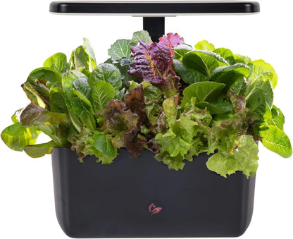 Plantera Smart Z242-1 con Cultivo Hidropónico LED