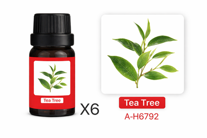 Esencia Aromática A-H6792 para Humidificador Té Verde Set 6 x 10ml