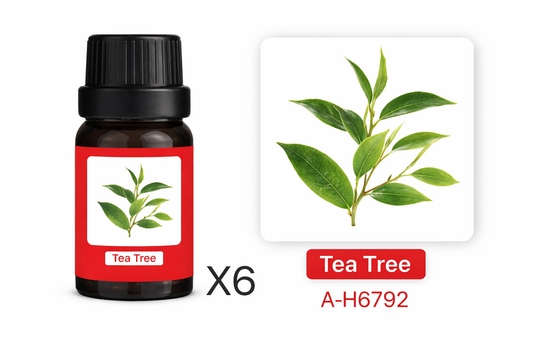 Esencia Aromática A-H6792 para Humidificador Té Verde Set 6 x 10ml