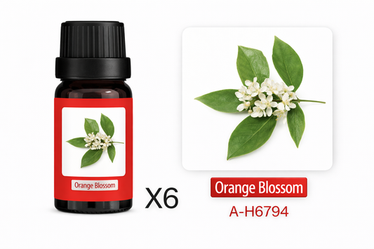 Esencia Aromática A-H6794 para Humidificador Flor de Naranja Set 6 x 10ml