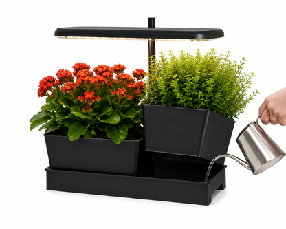 Plantera Smart Z251-3-POT Negra con Cultivo Hidropónico LED