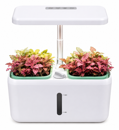 Plantera Smart Z224-1 Blanca con Cultivo Hidropónico LED