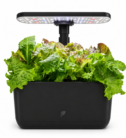 Plantera Smart Z251-1 12 Pods con Cultivo Hidropónico LED