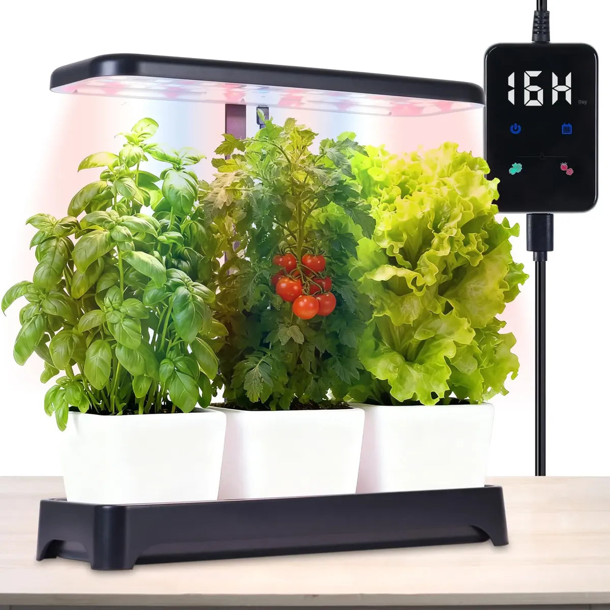 Plantera Smart Z252-1 Negra con Cultivo Hidropónico LED