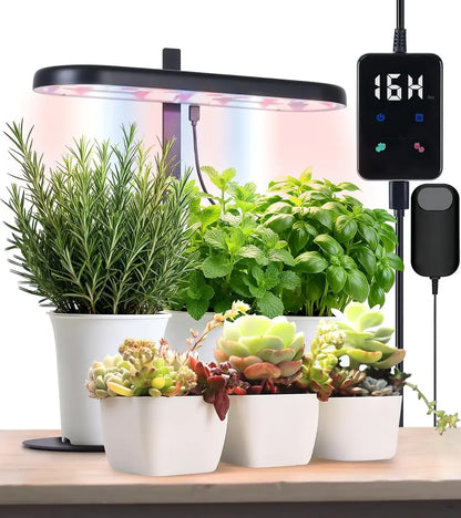 Plantera Smart Z249M Negra con Cultivo Hidropónico LED