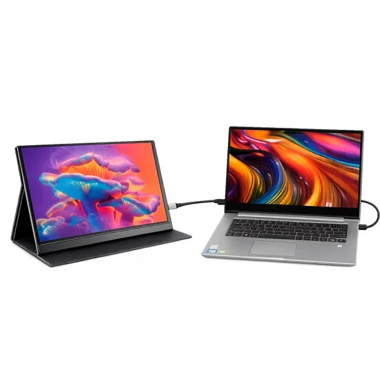 Monitor Portátil Satellite A-DM1151 15.6" Full HD USB-C y HDMI