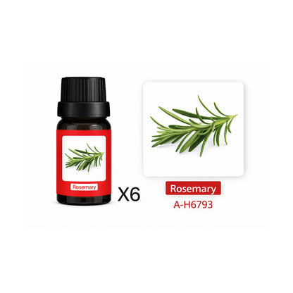 Esencia Aromática A-H6793 para Humidificador Alecrim Set 6 x 10ml de SATE, producto centrado sobre fondo blanco