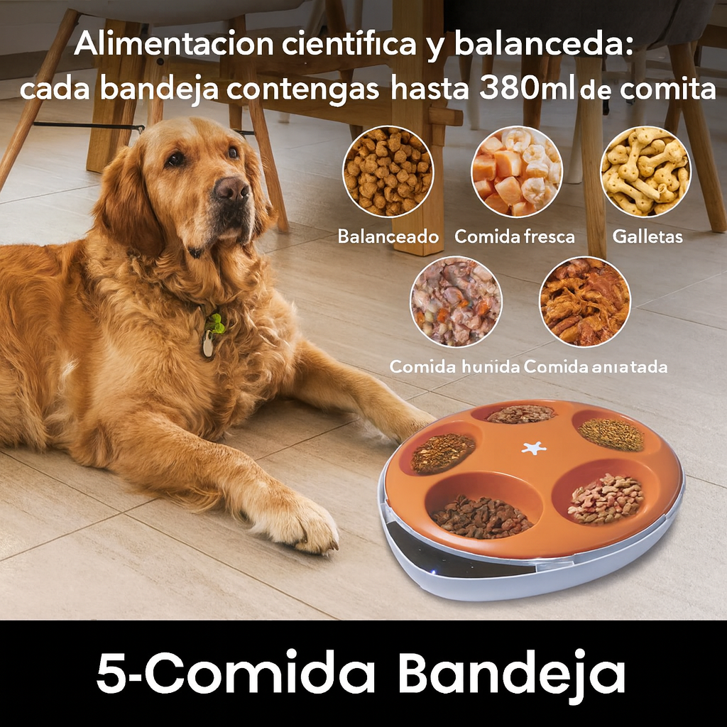 FeediFresh™ 5 – Comedero Inteligente con Control por Voz y 5 Bandejas Refrigeradas