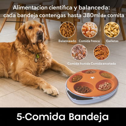 FeediFresh™ 5 – Comedero Inteligente con Control por Voz y 5 Bandejas Refrigeradas