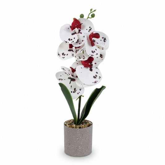 Orquídea artificial blanca y roja en maceta 40 cm sobre fondo blanco