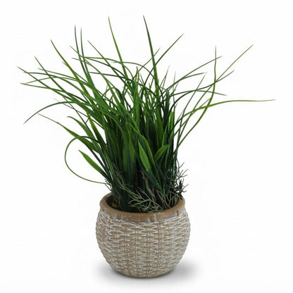 Planta artificial de pasto en maceta tejida 35 cm sobre fondo blanco