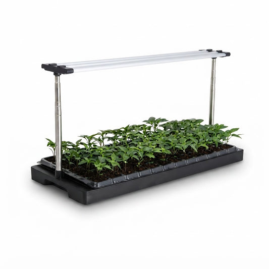 Plantera inteligente para 12 mudas, vista de producto sobre fondo blanco