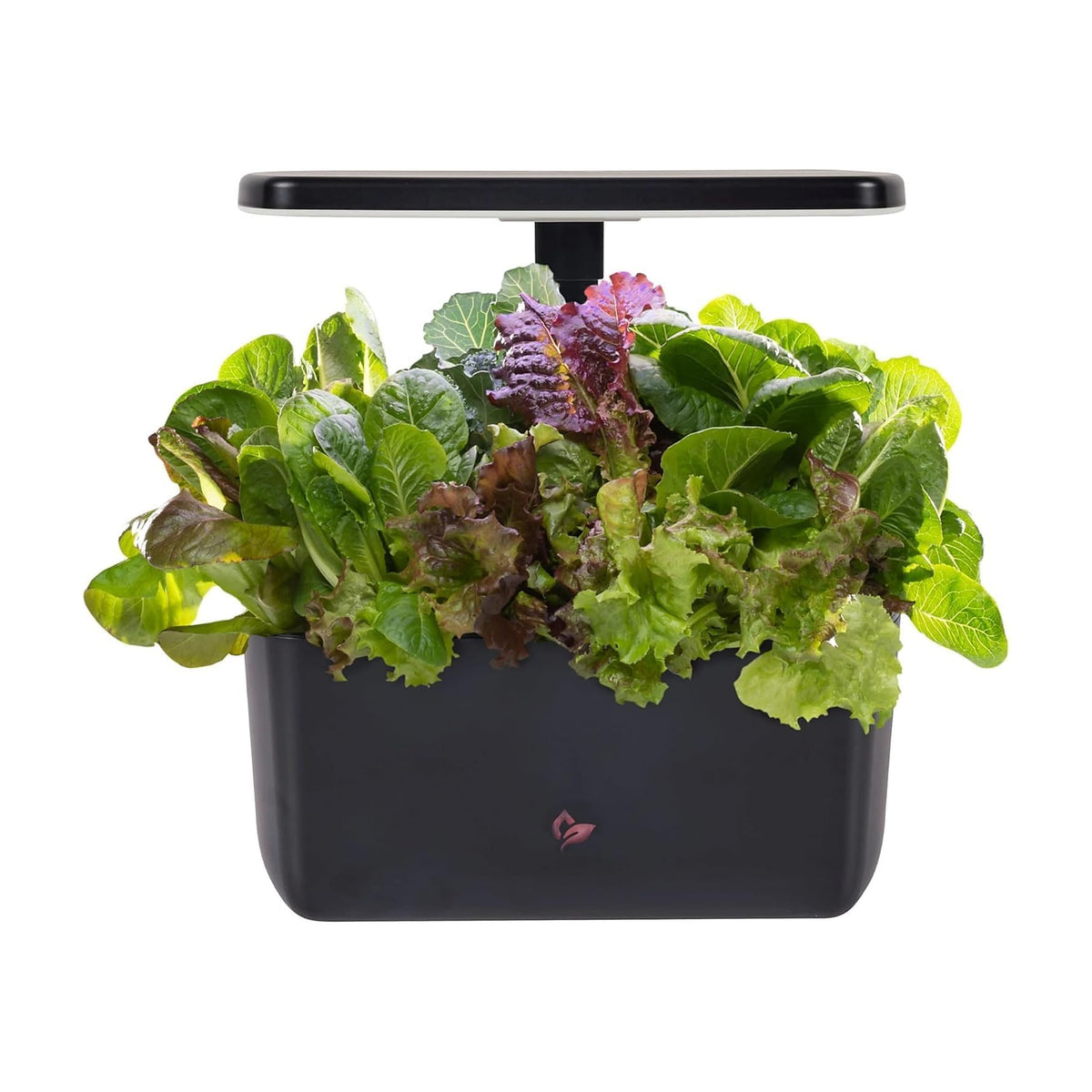 Plantera Smart Z242-1 con Cultivo Hidropónico LED de SATE, producto centrado sobre fondo blanco