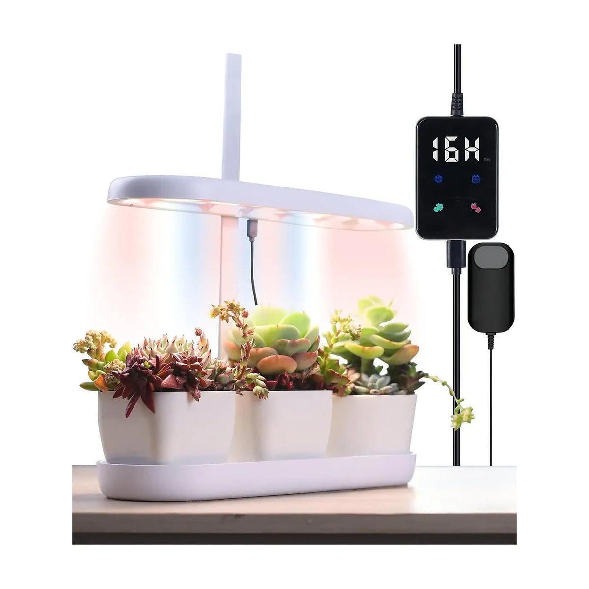 Plantera Smart Z249-2 Blanca con Cultivo Hidropónico LED de SATE, producto centrado sobre fondo blanco