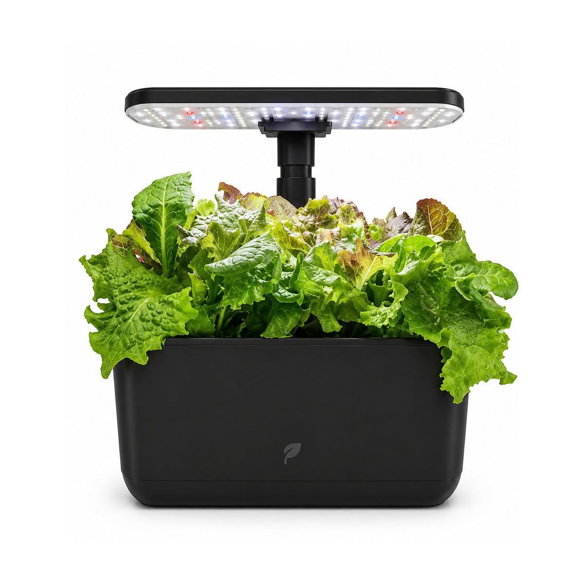 Plantera Smart Z251-1 12 Pods con Cultivo Hidropónico LED de SATE, producto centrado sobre fondo blanco