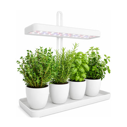 Plantera Smart Z251-2 Blanca con Cultivo Hidropónico LED de SATE, producto centrado sobre fondo blanco