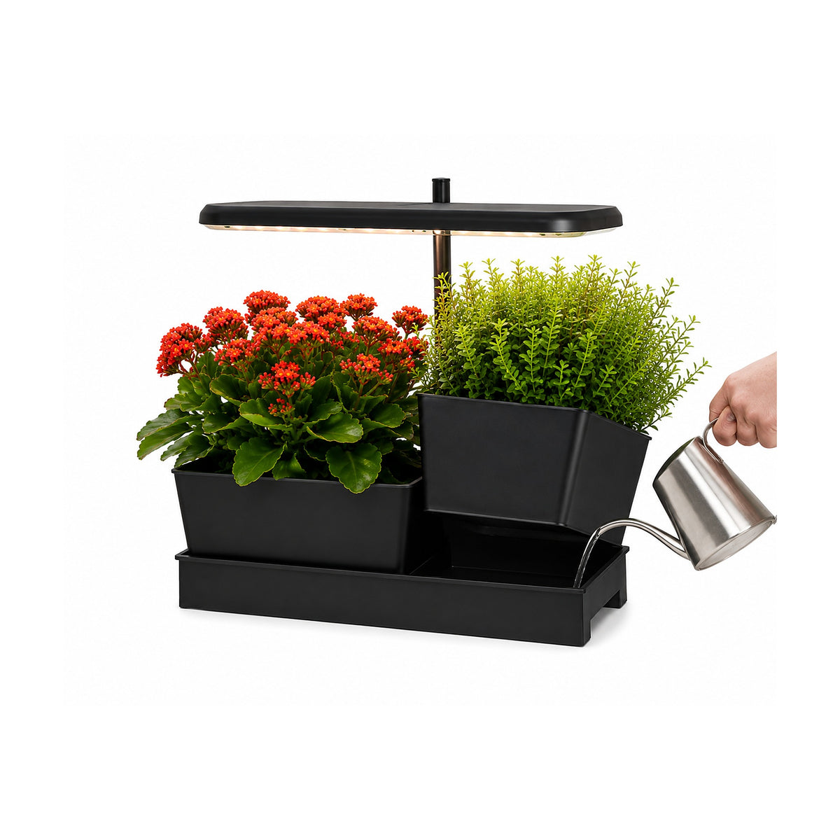 Plantera Smart Z251-3-POT Negra con Cultivo Hidropónico LED de SATE, producto centrado sobre fondo blanco