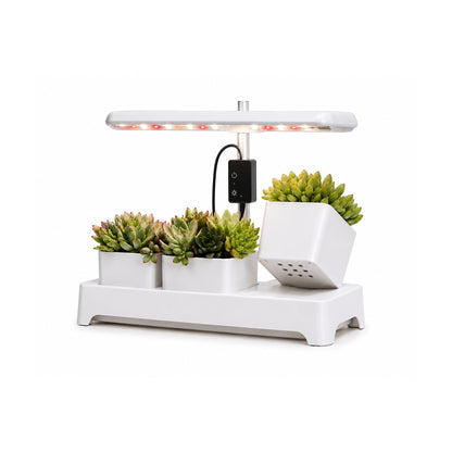 Plantera Smart Z251-4-POT Blanca con Cultivo Hidropónico LED de SATE, producto centrado sobre fondo blanco