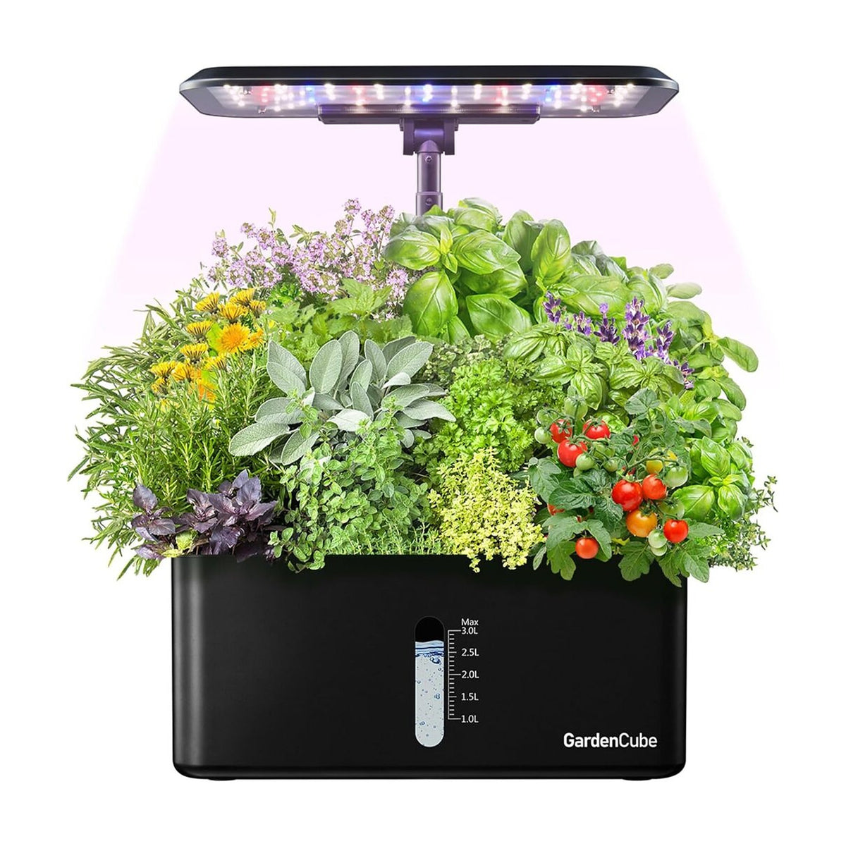 Plantera Smart Z256 10 Pods Negra con Cultivo Hidropónico LED de SATE, producto centrado sobre fondo blanco