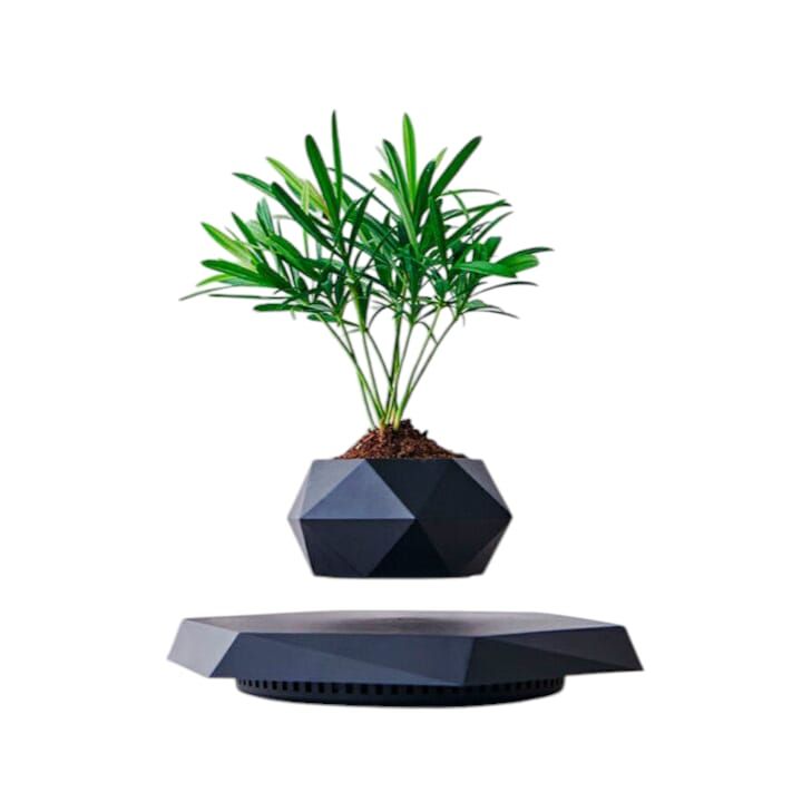 Plantera Magnetico Flotante A-FP31 – Negro