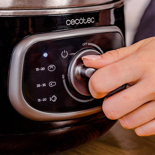 Vaporera Vapovita Steelpot